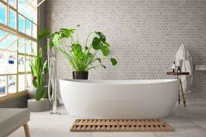 Moldy bathroom