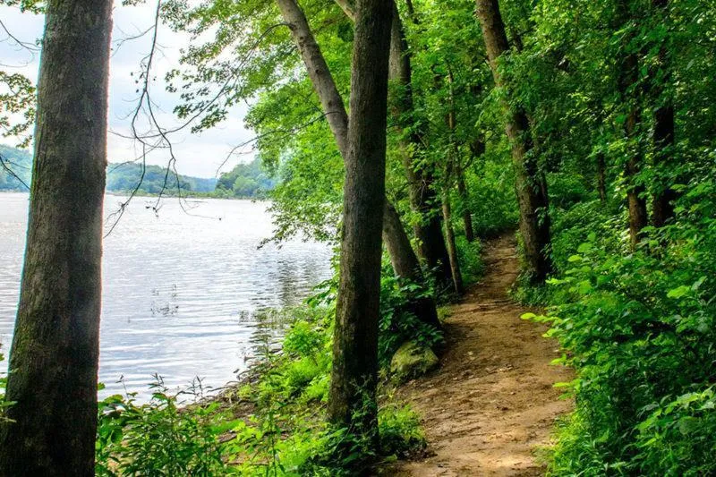 alexandria-best-summer-trails-va-hiking