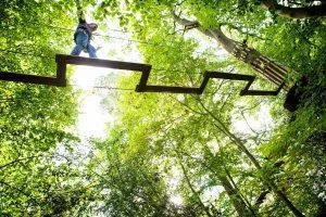 Go Ape adventure park Rockville