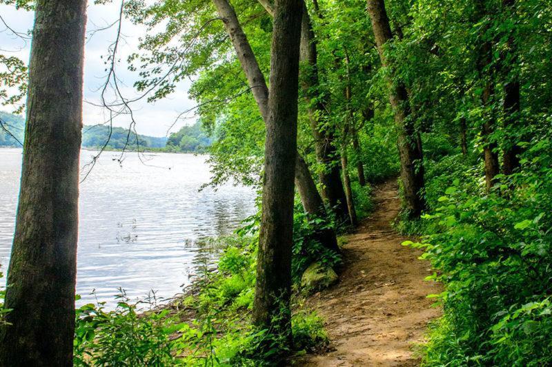 The Best Summer Trails To Explore in Alexandria
